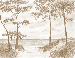 Maritime Pines and Dunes Wallpaper - Sepia