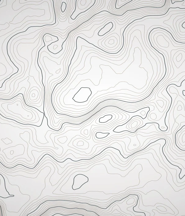 Papier peint ligne topographique - Noir et blanc