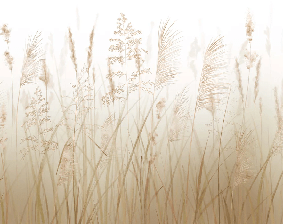 Wheat field flower wallpaper