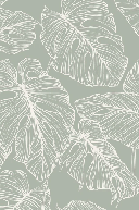 Monstera sage leaf wallpaper