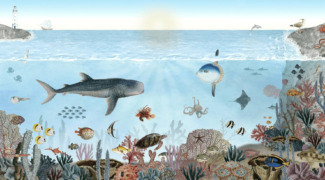 Marine animals wallpaper