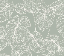 Monstera sage leaf wallpaper