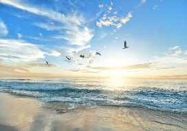 Papier peint Plage Paradisiaque, XXL, tendance