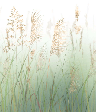 Green wheat field flower wallpaper