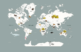 Wallpaper World Map in French for Children, Gray