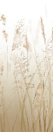 Beige wheat field flower wallpaper for the bathroom