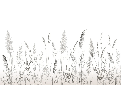 Poetic pampa wallpaper