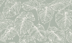 Monstera sage leaf wallpaper