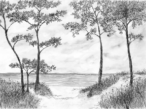 Seaside Pines and Dunes Wallpaper - Black and White