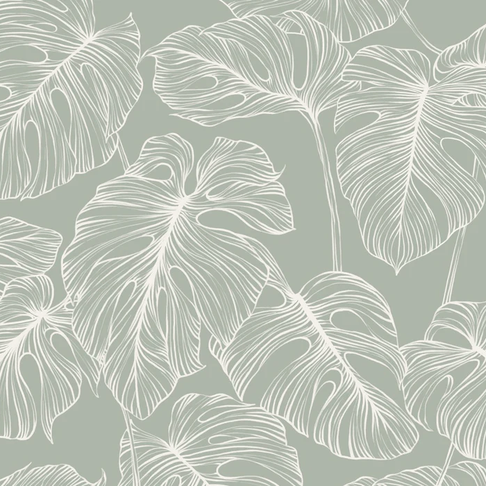 Monstera sage leaf wallpaper