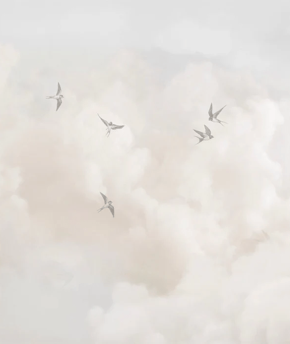 Panoramic wallpaper - Timeless sky