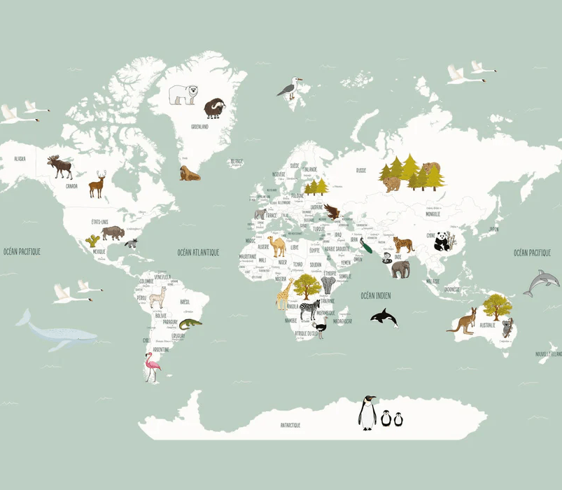 Papier peint Carte du monde en Francais enfant vert - Muralconcept