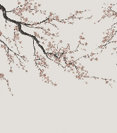 Sakura beige panoramic wallpaper