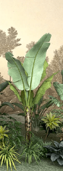 Indonesian jungle-themed restaurant wallpaper