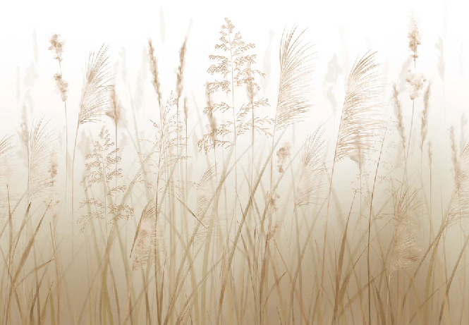 Wheat field flower wallpaper