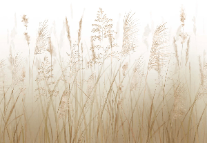 Wheat field flower wallpaper