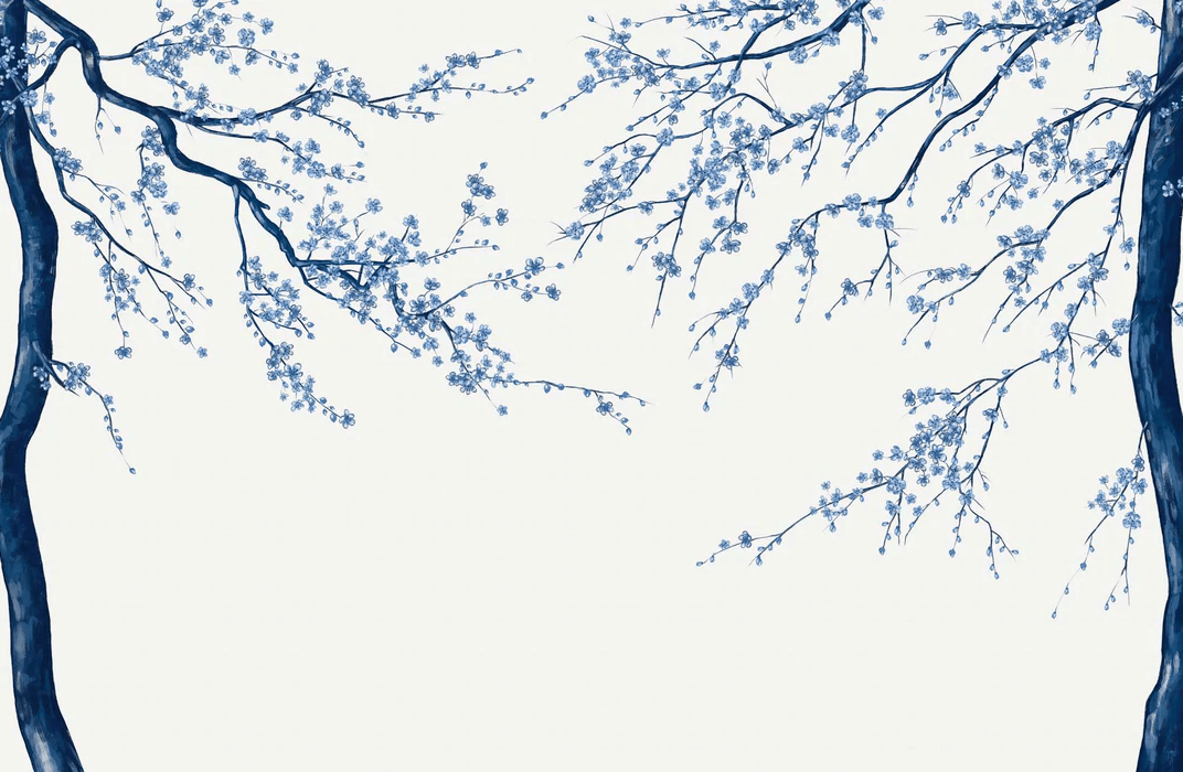 White Sakura flower panoramic wallpaper