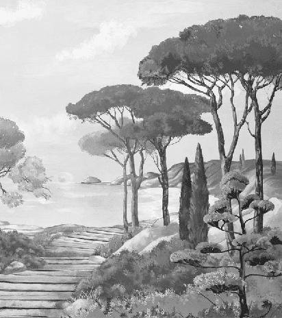 Papier peint balade dans les calanques noir et blanc - Muralconcept