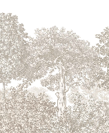 Beige engraved forest landscape wallpaper