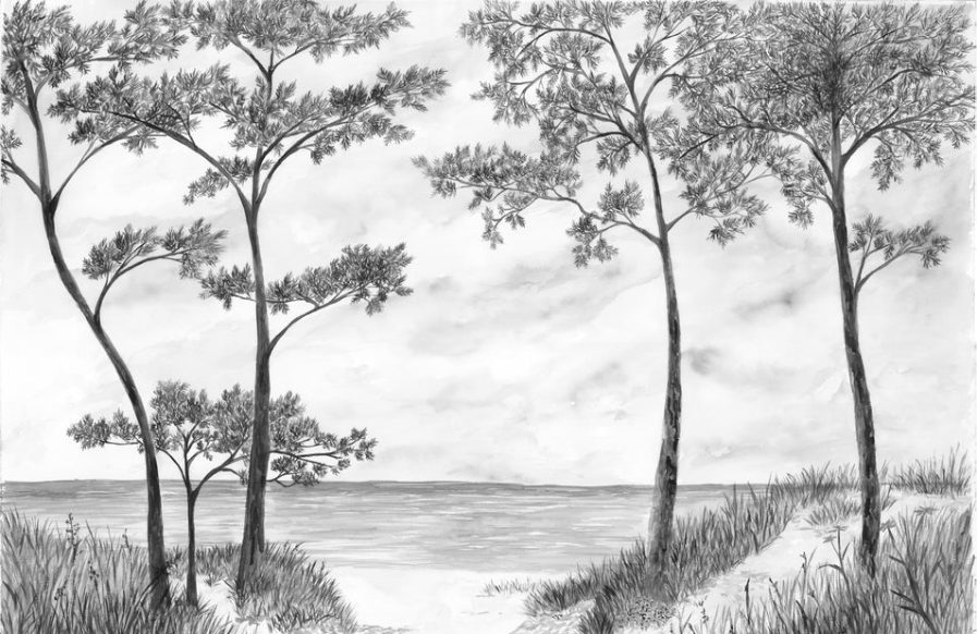 Seaside Pines and Dunes Wallpaper - Black and White
