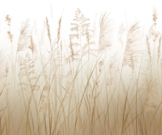 Wheat field flower wallpaper