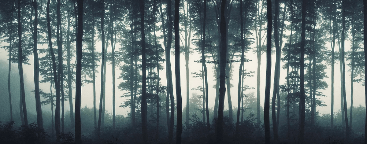 Autumn Mist Wallpaper