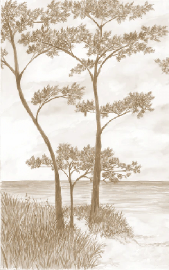 Maritime Pines and Dunes Wallpaper - Sepia