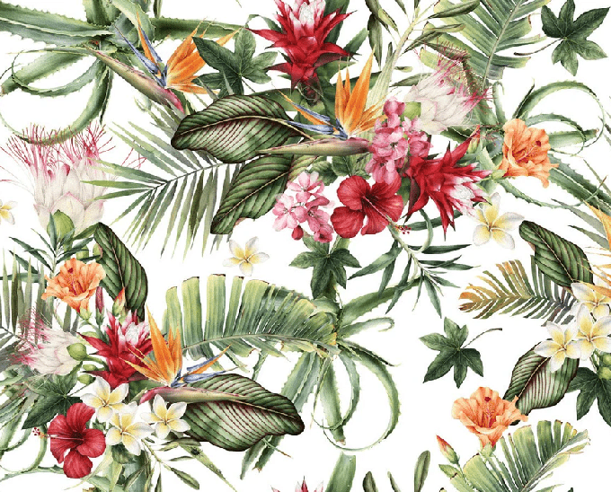 Tropical wallpaper & Colorful flowers