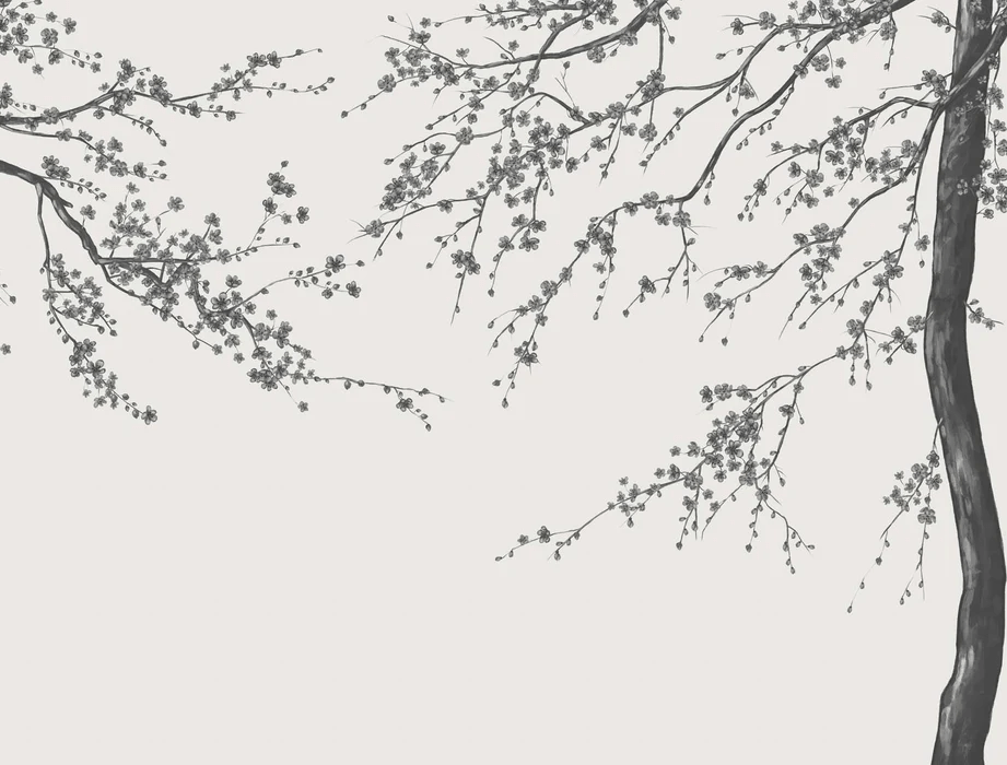 Black and white Sakura flower panoramic wallpaper