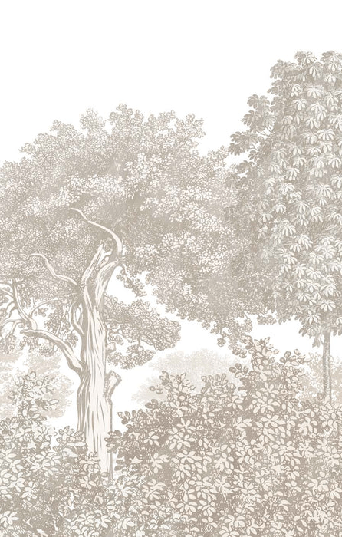 Beige engraved forest landscape wallpaper