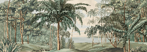 Papier peint paysage Célèbes - Muralconcept