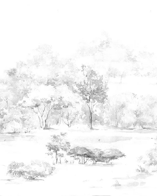 Papier peint forêt de pin aquarelle