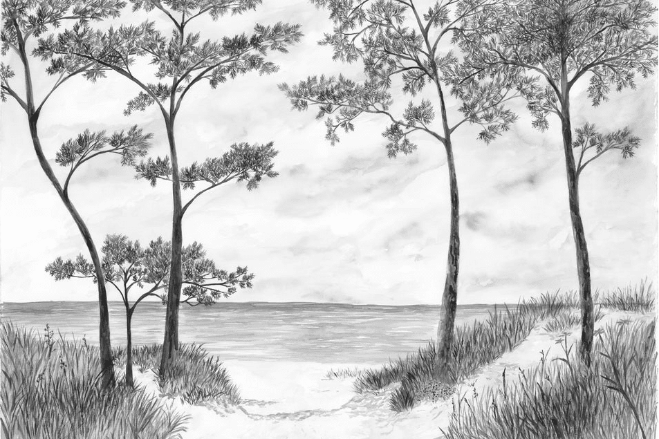 Papier peint Pins maritimes et dunes - Noir et blanc - Muralconcept