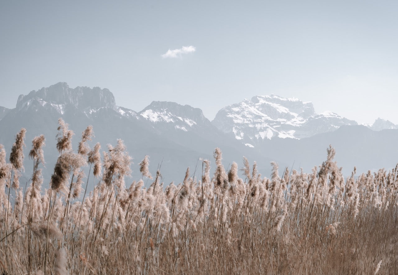 Papier peint photo - Dents de Lanfon & Tournette