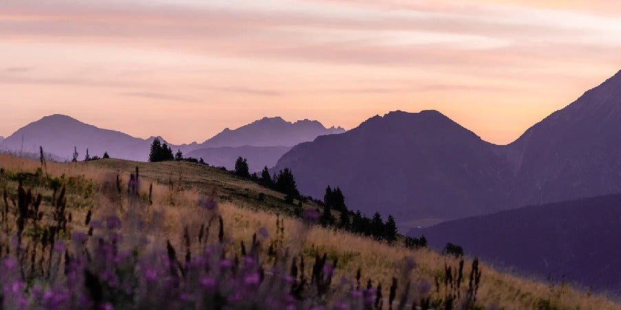 Wallpaper restaurant massif du Giffre