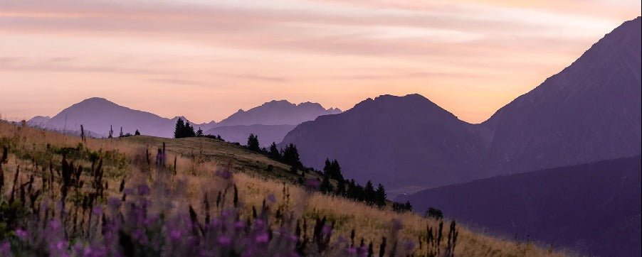 Wallpaper restaurant massif du Giffre