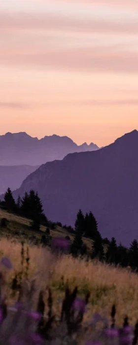 Wallpaper restaurant massif du Giffre