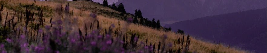 Wallpaper restaurant massif du Giffre