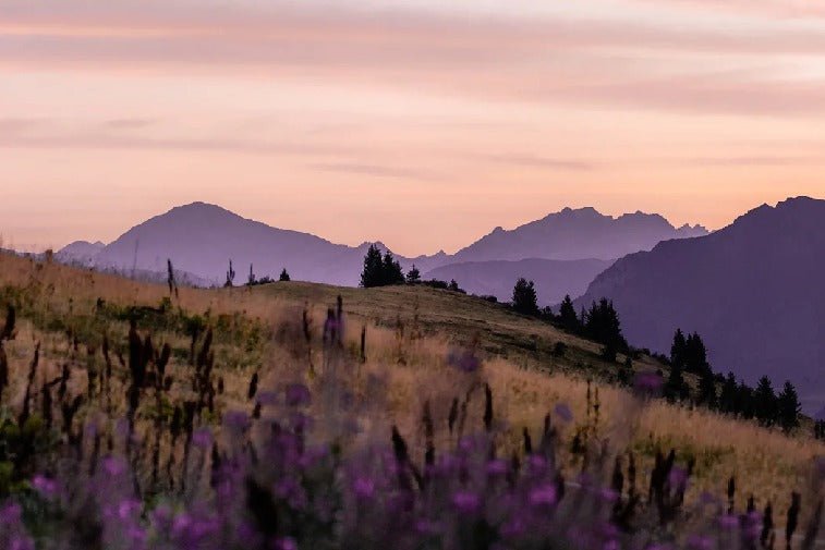 Wallpaper restaurant massif du Giffre