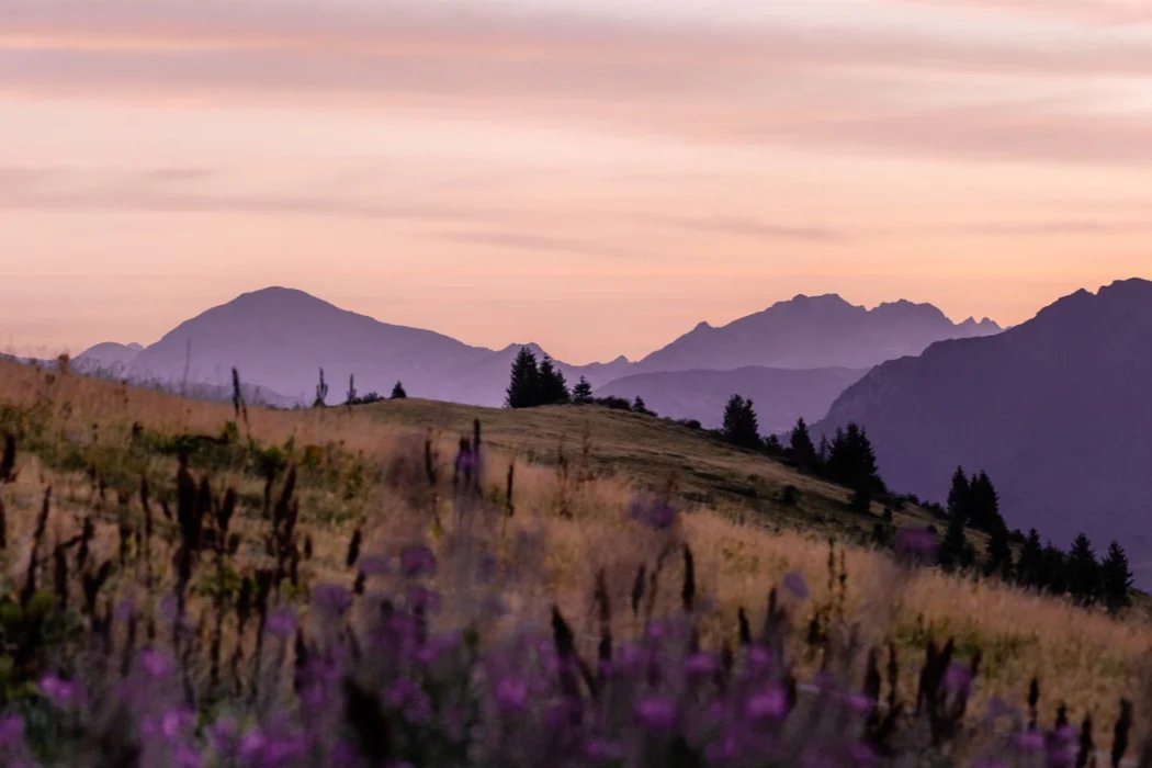 Papier peint restaurant massif du Giffre, mural concept, tendance