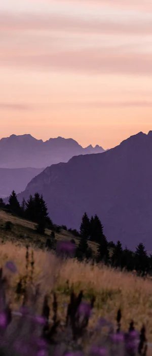 Wallpaper restaurant massif du Giffre