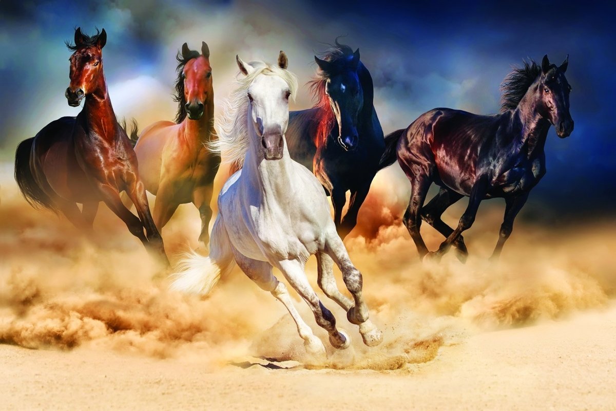 Papier peint panoramique chevaux désert - papier peint sur mesure francais - muralconcept