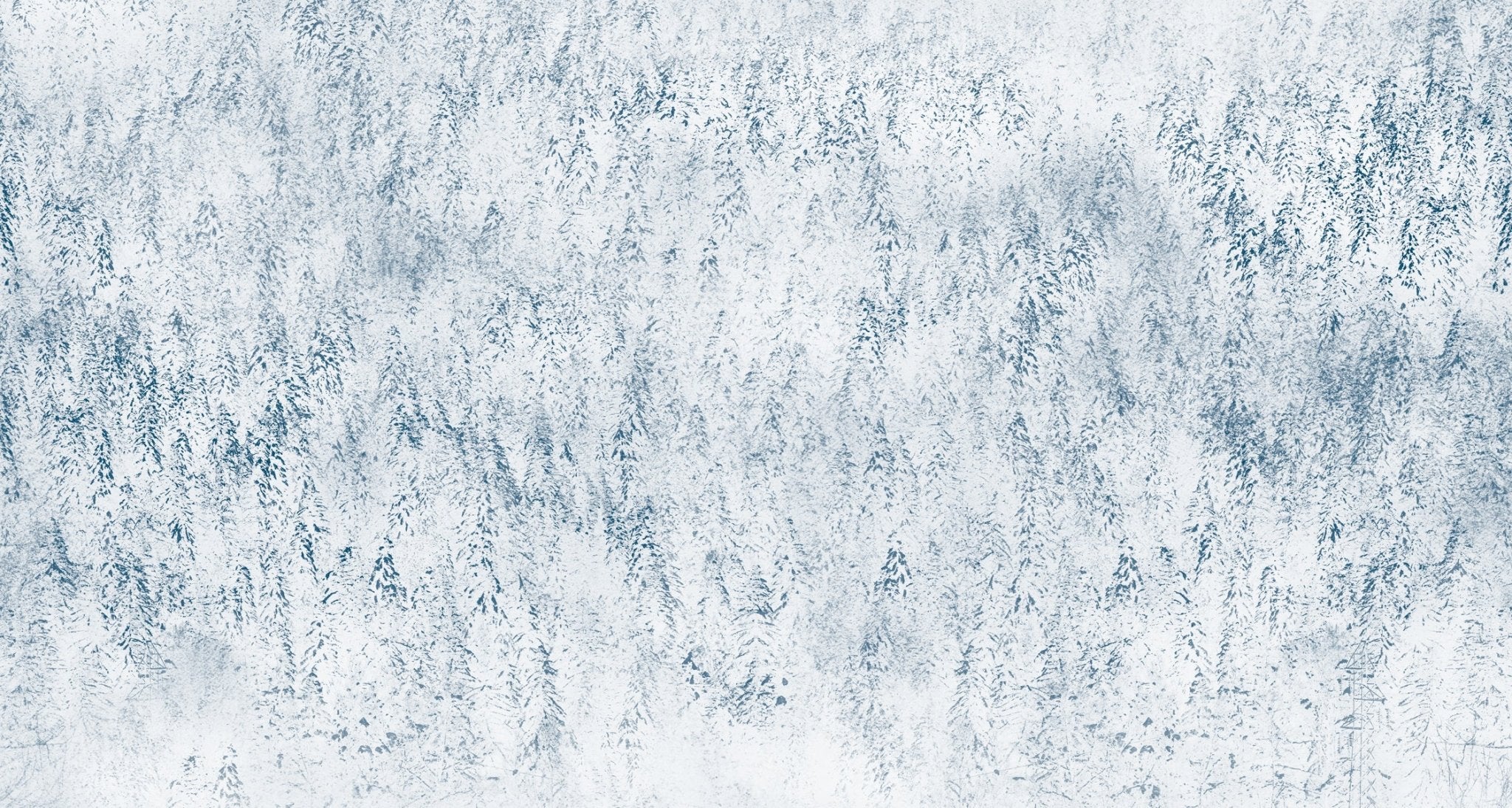 Papier peint forêt brumeuse Alpine design, mural concept, tendance