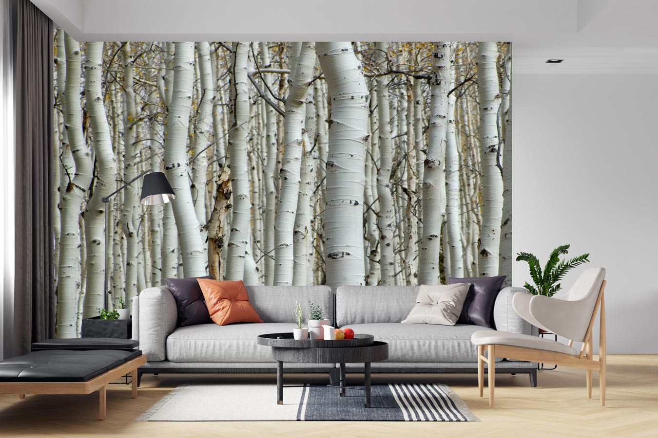 Papier peint Forêt de bouleau - papier peint sur mesure francais - muralconcept