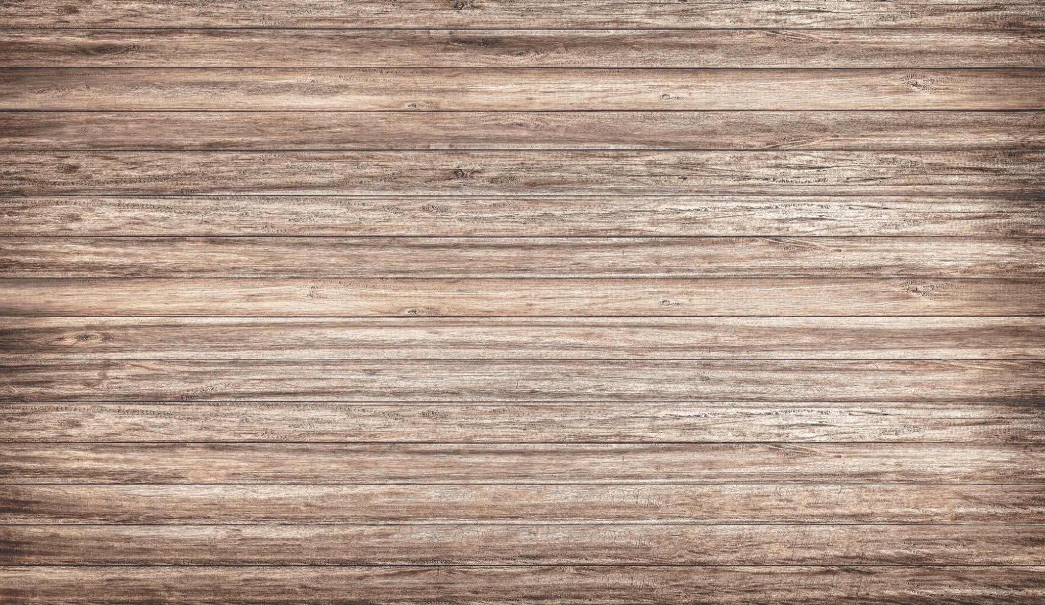 Papier peint mélèze alpin brut, mural concept, tendance