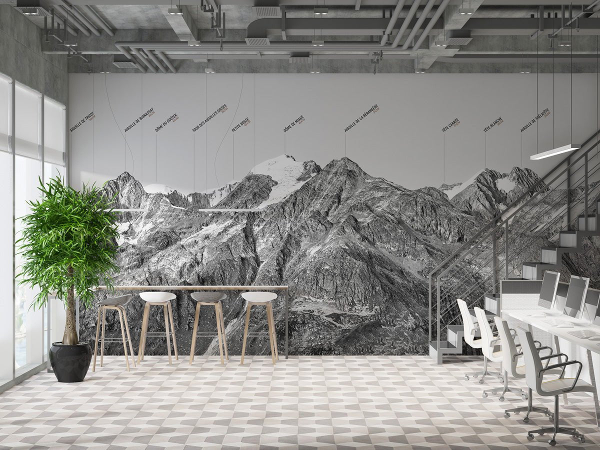 Papier peint montagne dôme Alpin - papier peint sur mesure francais - muralconcept